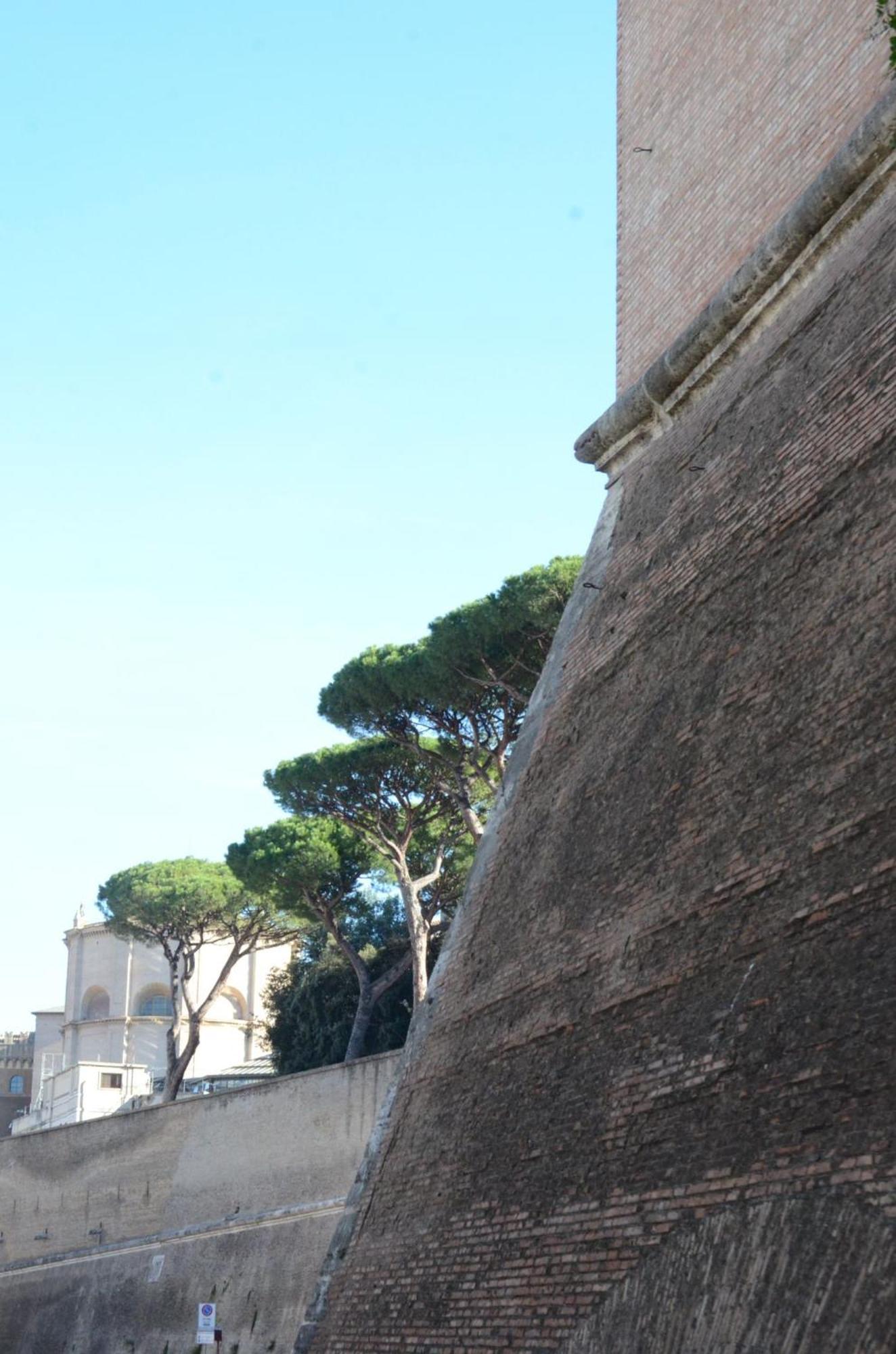 Vatican View Experience *